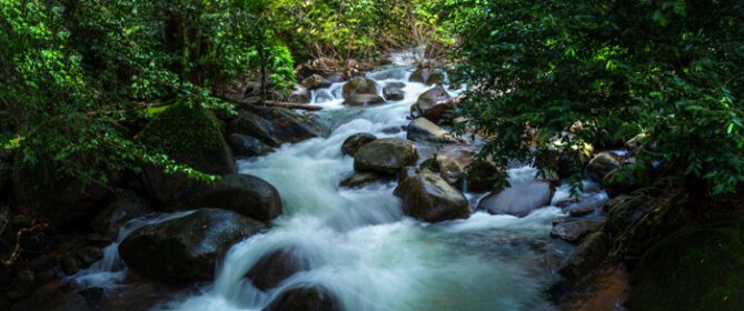 دانلود عکس آبشار زیبای جویبار طبیعی و جنگل سبز در