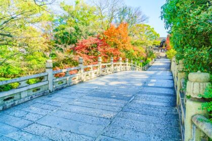 دانلود عکس فصل پاییز در ژاپن