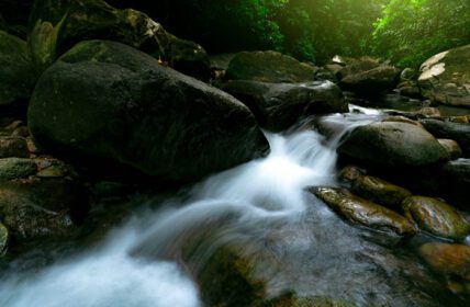 دانلود عکس آبشار زیبا در جنگل آبشار در جنگل استوایی