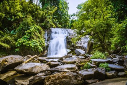 دانلود عکس پس زمینه والپیپر طبیعت جنگل تپه آبشار تایلند