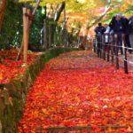 دانلود عکس پزشک طب لمسی تبلت تکنولوژی پزشکی و