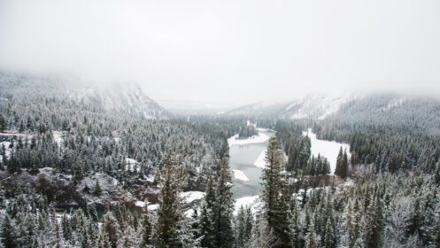 دانلود عکس منظره زیبای کانادا در زمستان با جنگل برفی و