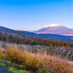 سبد خرید و پرداخت