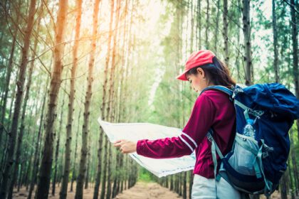 دانلود عکس سفر توریستی زن در جنگل های کاج سفر پیاده روی در طول تعطیلات
