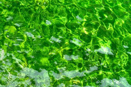 دانلود عکس وضعیت انعکاس آب سبز در خورشید