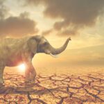 دانلود عکس مفهوم رندر سه بعدی پول دلار طلایی مالی