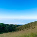 سبد خرید و پرداخت