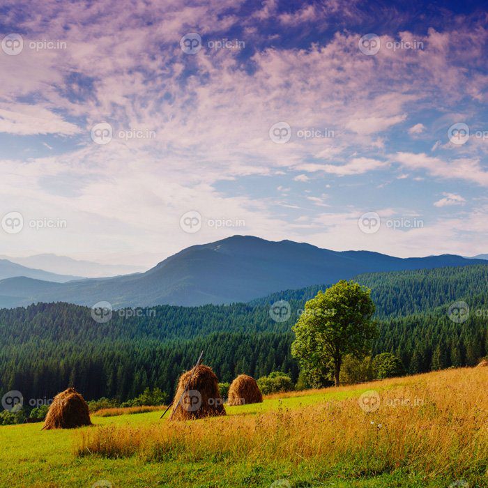 دانلود عکس روز زیبای آفتابی در کوهستان