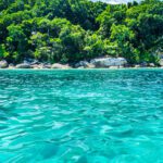 سبد خرید و پرداخت