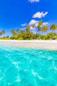 دانلود عکس ساحل جزیره مالدیو چشم انداز گرمسیری عمودی تابستان