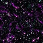 سبد خرید و پرداخت