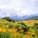 دانلود وکتور موجود در این بسته تصویری از تبریک روز باستیل است