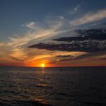 سبد خرید و پرداخت