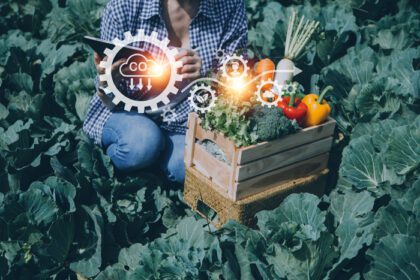 دانلود عکس تاجر آینده نگر مزرعه سبزیجات و محصولات زراعی با استفاده از