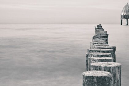 دانلود عکس groynes در دریای بالتیک در سیاه و سفید با بسیاری از