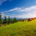 سبد خرید و پرداخت