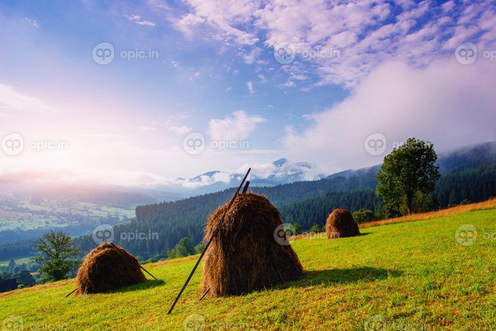 دانلود عکس روز زیبای آفتابی در کوهستان