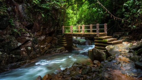 دانلود عکس پل قدیمی بر روی آبشار رودخانه طبیعی و جنگل سبز در