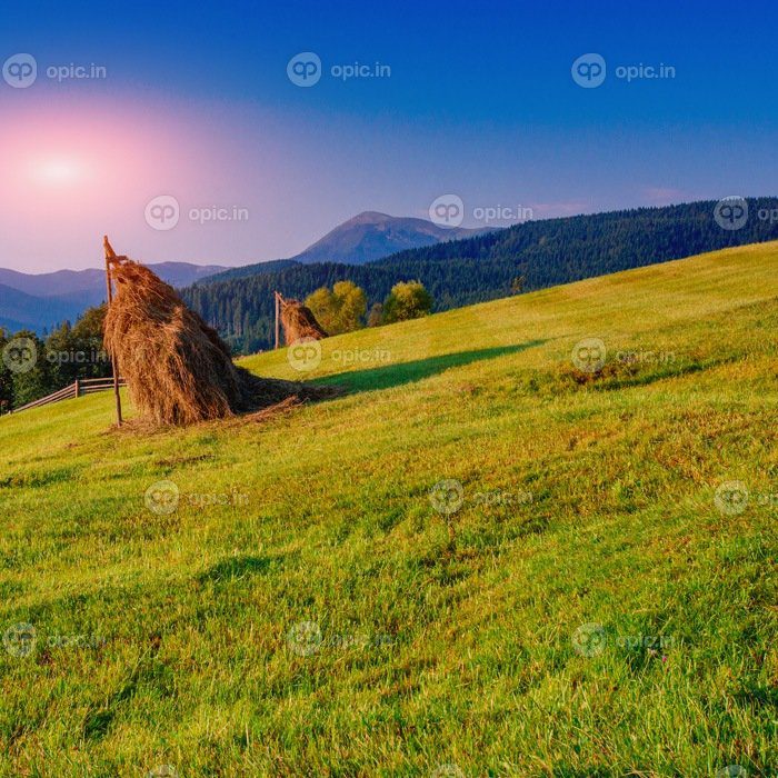 دانلود عکس روز زیبای آفتابی در کوهستان
