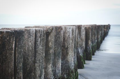 دانلود عکس groynes در حال بیرون زدن در دریا که در zingst on the darss گرفته شده است