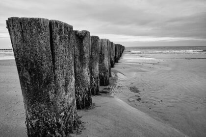 دانلود عکس groynes در دریای بالتیک سیاه و سفید با بسیاری از