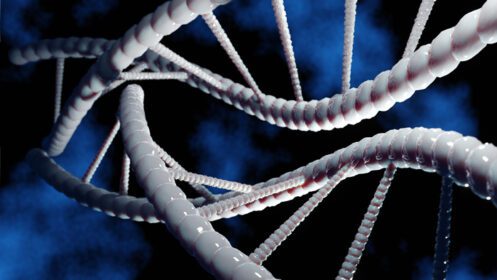 دانلود عکس مارپیچ ساختار DNA انسان علم و فناوری مفهوم سه بعدی