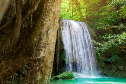 دانلود عکس آبشار زیبا و استخر زمرد در جنگل بارانی استوایی