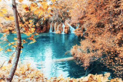دانلود عکس آبشار زیبا در جنگل سبز تابستانی