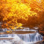 سبد خرید و پرداخت