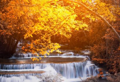 دانلود عکس آبشار زیبا در جنگل پارک ملی در هوای مائه