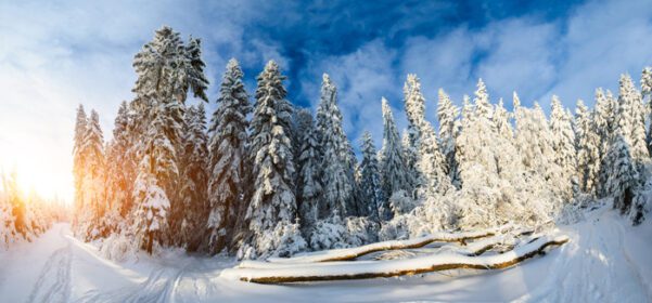 دانلود عکس خانه چوبی زیبا در یک روز آفتابی زمستانی
