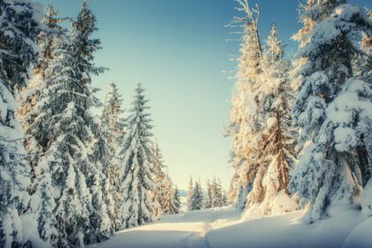 دانلود عکس مناظر فوق العاده زمستانی و مسیرهای پیاده روی که منتهی به