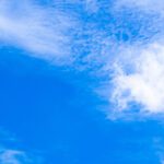 سبد خرید و پرداخت