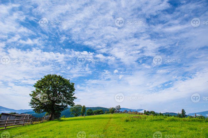 دانلود عکس آسمان آبی با چمنزار زیبا