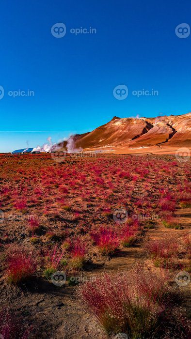 دانلود عکس منطقه فعال زمین گرمایی hverir در نزدیکی دریاچه myvatn در ایسلند