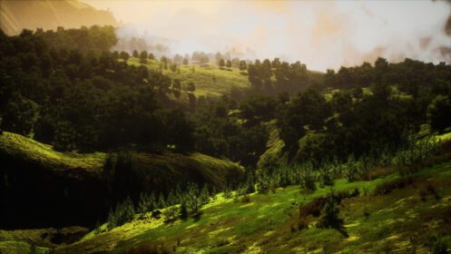 دانلود عکس درختان سبز در دره دره غروب آفتاب با مه