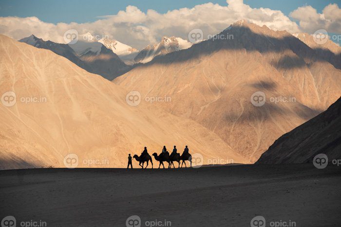 دانلود عکس شترسواری در دره نوبرا در له لداخ