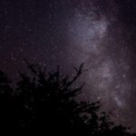 سبد خرید و پرداخت