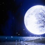 دانلود کاغذ دیواری طرح سه بعدی زیبا و زیبای دیوار پس زمینه نیلوفر آبی