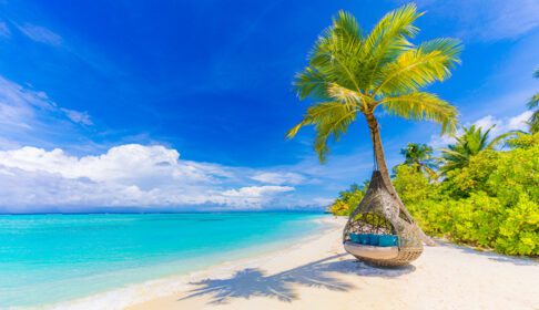 دانلود عکس بهشت ساحل استوایی به عنوان منظره تابستانی با تاب ساحل