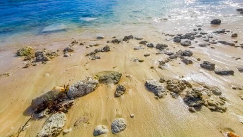دانلود عکس استوایی مکزیک ساحل آب شفاف تخته سنگ پلایا دل کارمن