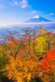 دانلود عکس منظره در کوه فوجی در پاییز ژاپن