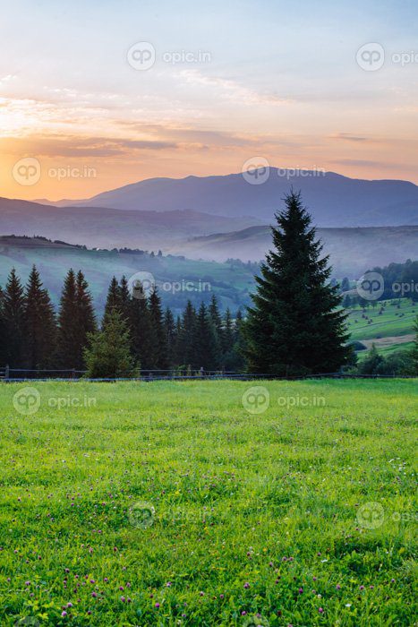 دانلود عکس منظره رنگارنگ تابستانی