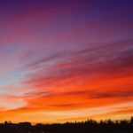 سبد خرید و پرداخت