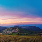 سبد خرید و پرداخت