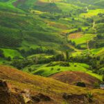 سبد خرید و پرداخت