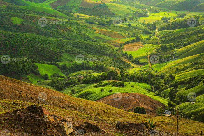 دانلود عکس منظره با کوه های جنگلی مزرعه ذرت سبز