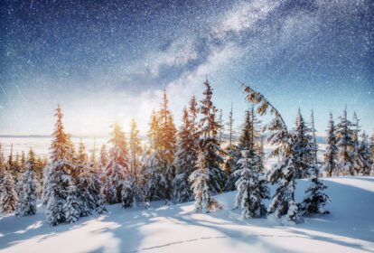دانلود عکس لبنیات ستاره راهپیمایی در جنگل زمستانی دراماتیک و