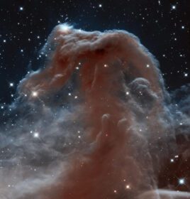 دانلود عکس سحابی سر اسب که از تلسکوپ فضایی هابل دیده می شود