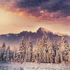 دانلود عکس پس زمینه منظره زمستانی جادویی با مقداری نرم